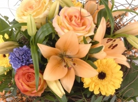 Bloemist Breda | Kom langs of bestel uw bloemen in onze webshop.
