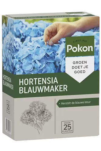 Blauwmaker hortensia 0.5kg - afbeelding 2