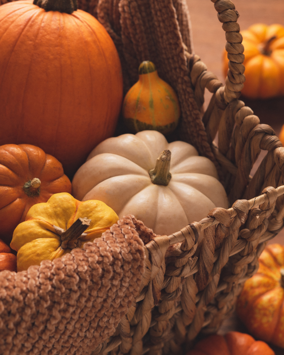 herfstdecoratie shoppen in Breda? Kom langs bij tuincentrum Poppelaars!