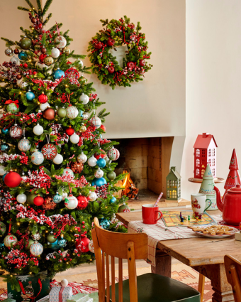 Voorjaarsbollen kopen in Breda