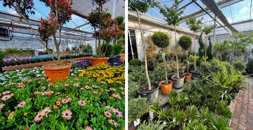 Poppelaars Tuincentrum Breda