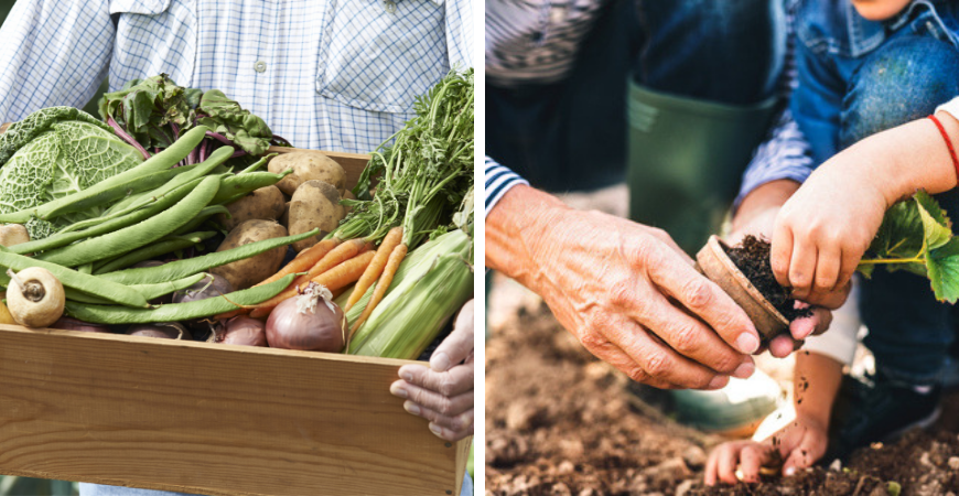 foto Moederland Socialisme Moestuin - Potgrond | Poppelaars tuincentrum - Meststoffen - Poppelaars  Tuincentrum