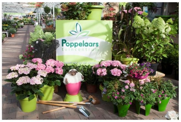 Compleet tuincentrum in Brabant: Poppelaars