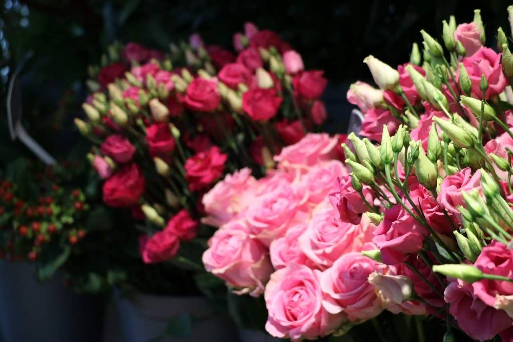 Poppelaars in Breda verkoopt prachtige bloemen