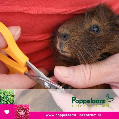 Kom naar onze dierenspeciaalzaak in Breda Kom naar onze dierenspeciaalzaak in Breda