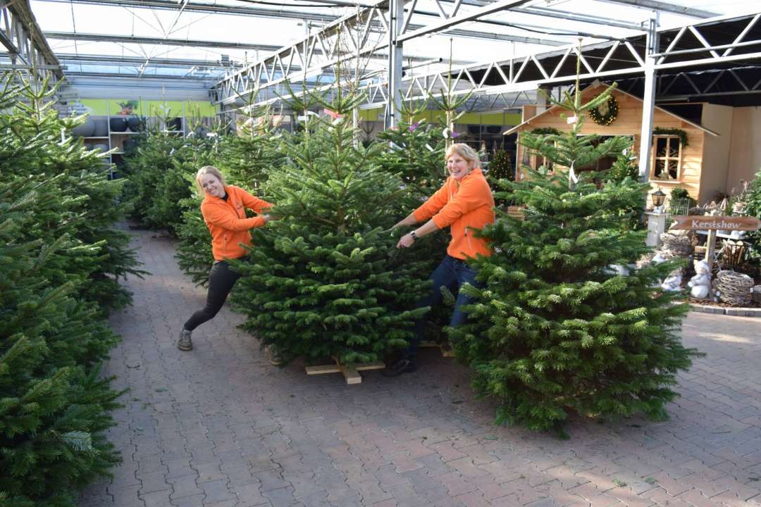 Kerstbomen kopen op onze kerstmarkt in Brabant
