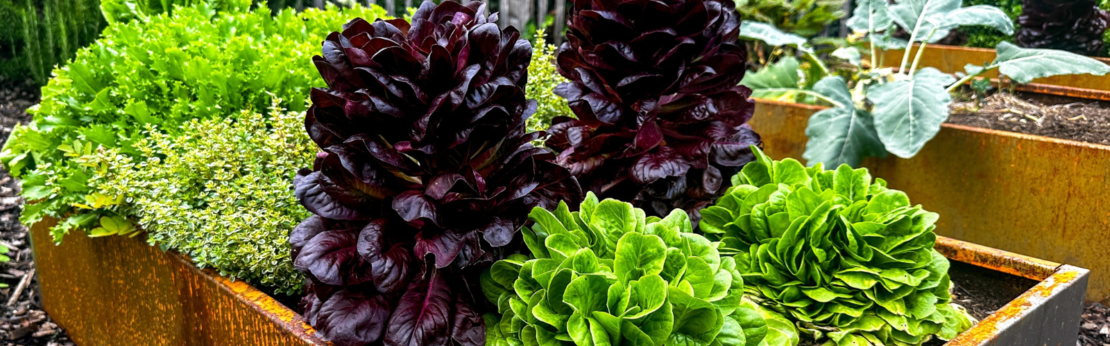 Moestuinieren in april