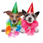 Puppy Party 21 mei
