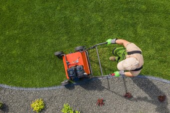 Gazon onderhoud in de maand augustus