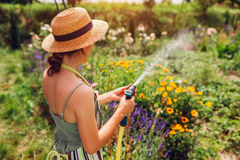 Verkoelende tuintips voor hittegolven: voor jou én je planten