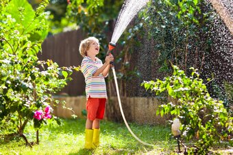Vier tips voor het bewateren van je tuin deze zomer