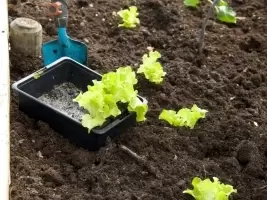 Waarom zijn voedingsstoffen belangrijk voor uw tuin?