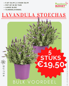 Bulk voordeel