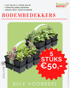 Bulk voordeel
