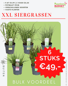 Bulk voordeel