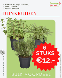 Bulk voordeel