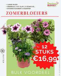 Bulk Voordeel