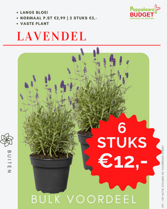 Bulk voordeel