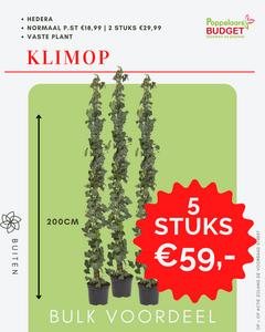 Bulk voordeel