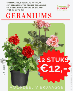 Bulk voordeel