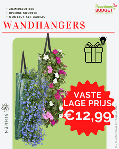 Voordeel