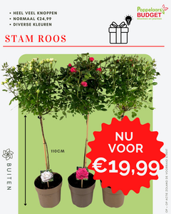Voordeel