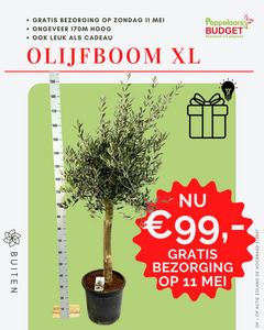 Voordeel