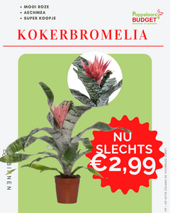 Voordeel