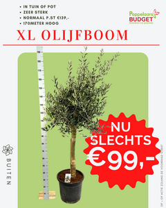 Voordeel