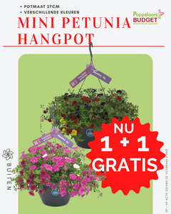 Voordeel