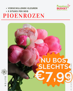 Voordeel