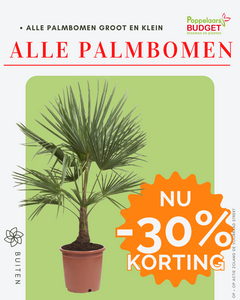 Voordeel