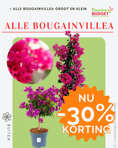 Voordeel