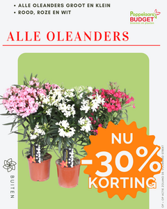 Voordeel