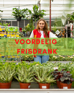 Voordeel