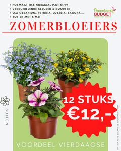 Voordeel vierdaagse