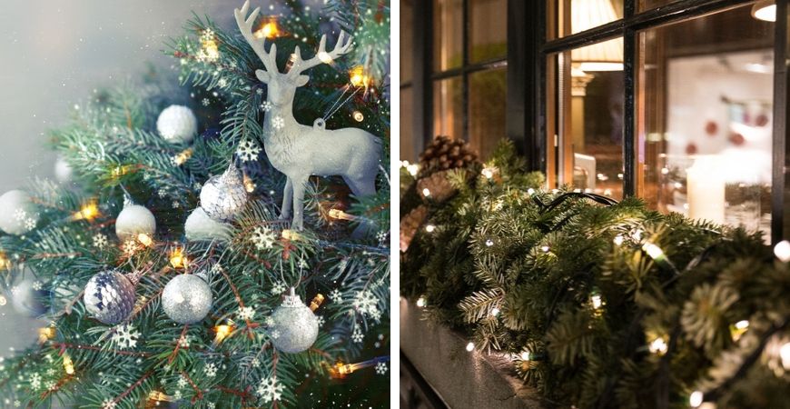 Kerstversiering kopen? Kom langs bij tuincentrum Poppelaars in Breda