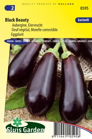 Aubergine black beauty