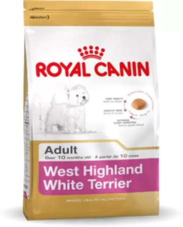 RC West Highland White Terrier 21 adult 3 kg