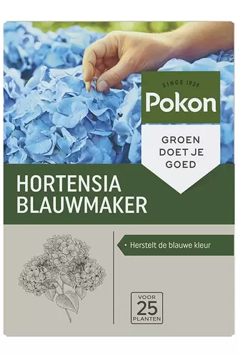 Blauwmaker hortensia 0.5kg - afbeelding 3