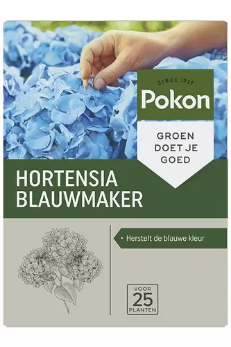 Blauwmaker hortensia 0.5kg - afbeelding 1