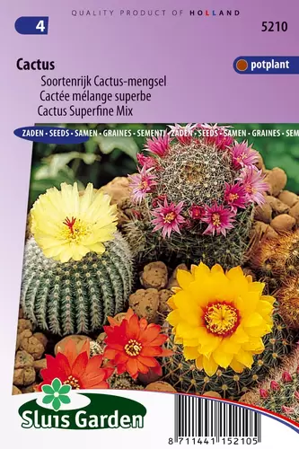 Cacti species splendid mixture