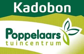 Kadobon 50 euro