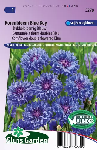 Centaurea cyanus korenbl.d. blauw