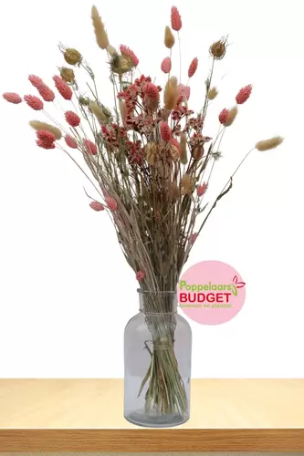 Droogbloemen Boeket Jenny incl Vaas