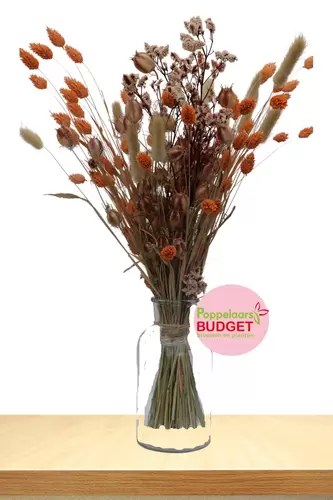Droogbloemen Boeket Oranje incl Vaas