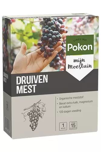 Druiven voeding 1kg - afbeelding 2