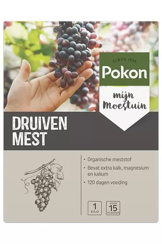 Druiven voeding 1kg - afbeelding 3