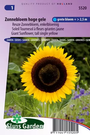 Helianthus annuus gig.geel witzadig