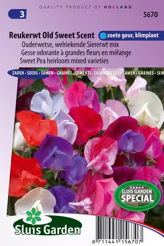 Lathyrus old sweet scent mix